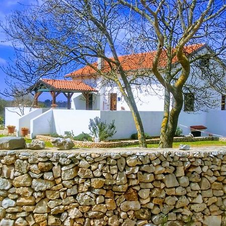 House Soni - 800 M From The Sea Vila Rovinj Exterior foto