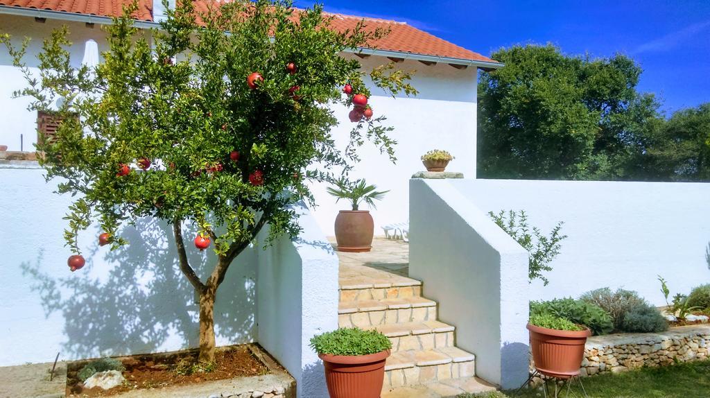 House Soni - 800 M From The Sea Vila Rovinj Exterior foto